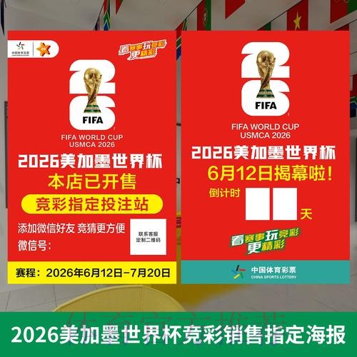 世界杯投注官网最佳选项与策略全面解读